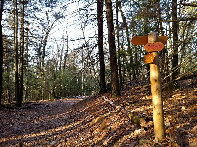 „Intersection of the Pink & White Case Mountain Trails - Manchester, CT - Dec 11, 2010“ von Morrow Long