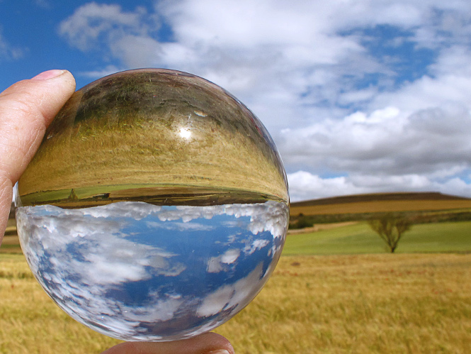 „Día Mundial del Medio Ambiente 2014“ von jacinta lluch valero